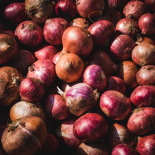 Onion