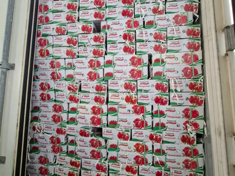 Packed export cartons