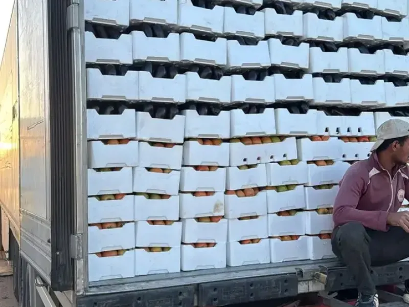 Refrigerated delivery fleet