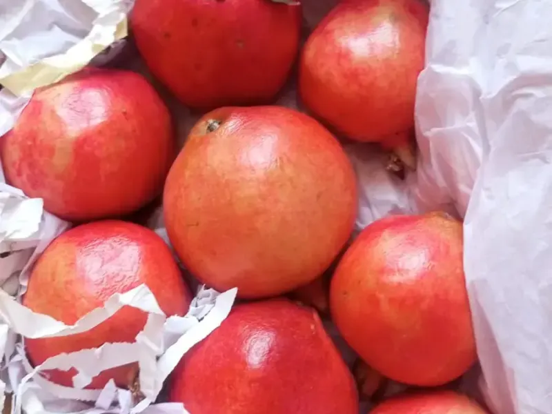 pomegranate